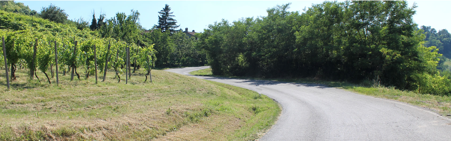 itinerari in Oltrepò Pavese