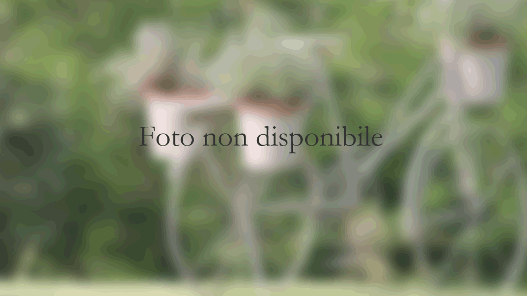 Canneto Pavese - Chiesa di San Marcellino