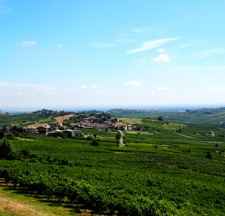 Agriturismo Le Tradizioni di Elide