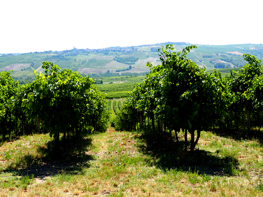 Agriturismo Le Tradizioni di Elide