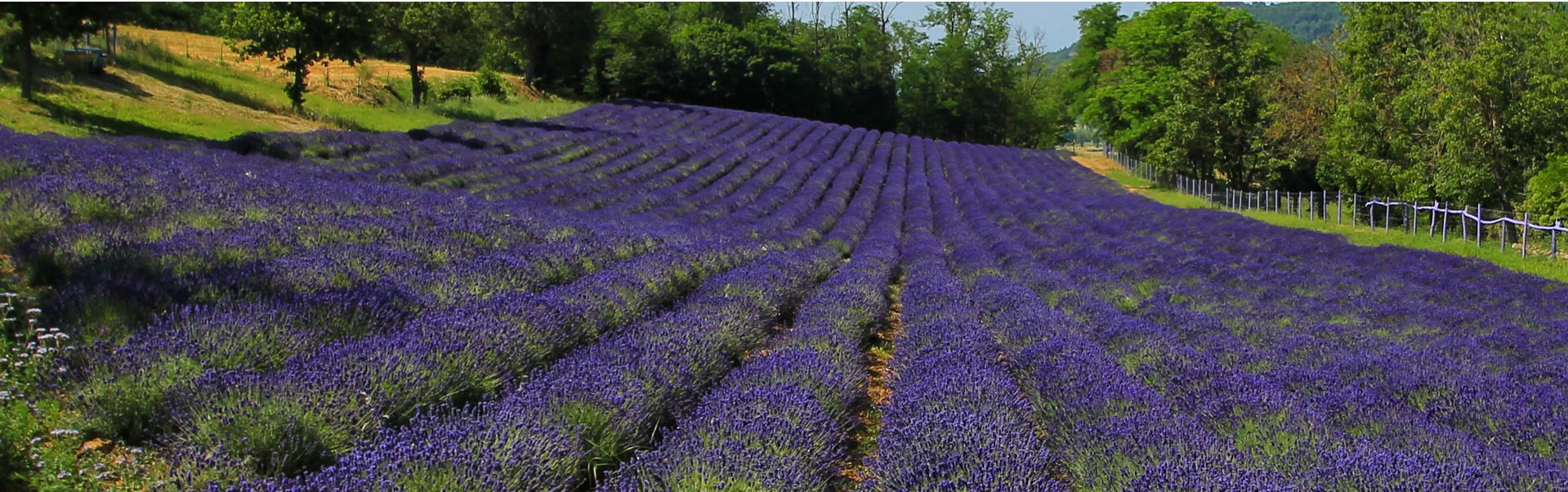 offerte turistiche in Oltrepo' Pavese