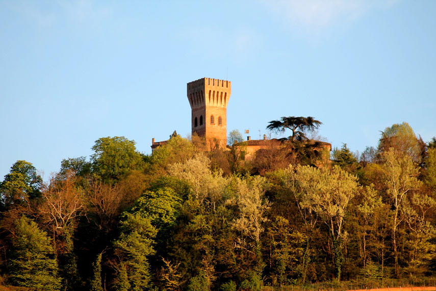 Castello di Cigognola