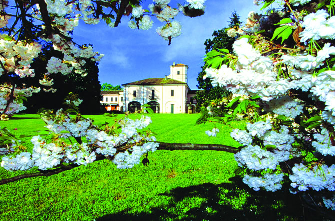 Fondazione Bussolera Branca