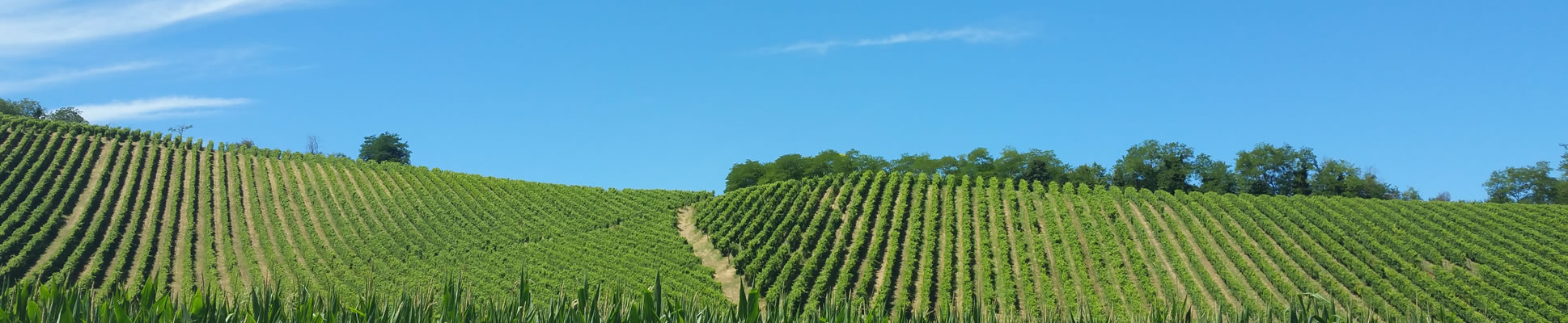 Oltrepò Pavese Antenna di zona