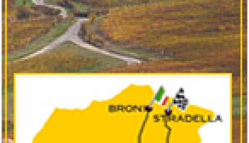 itinerario dei vigneti